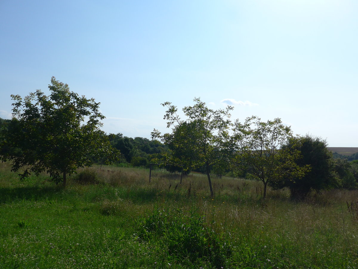 (207'256) - Beim Ferienheim am 4. Juli 2019 in Kavlak