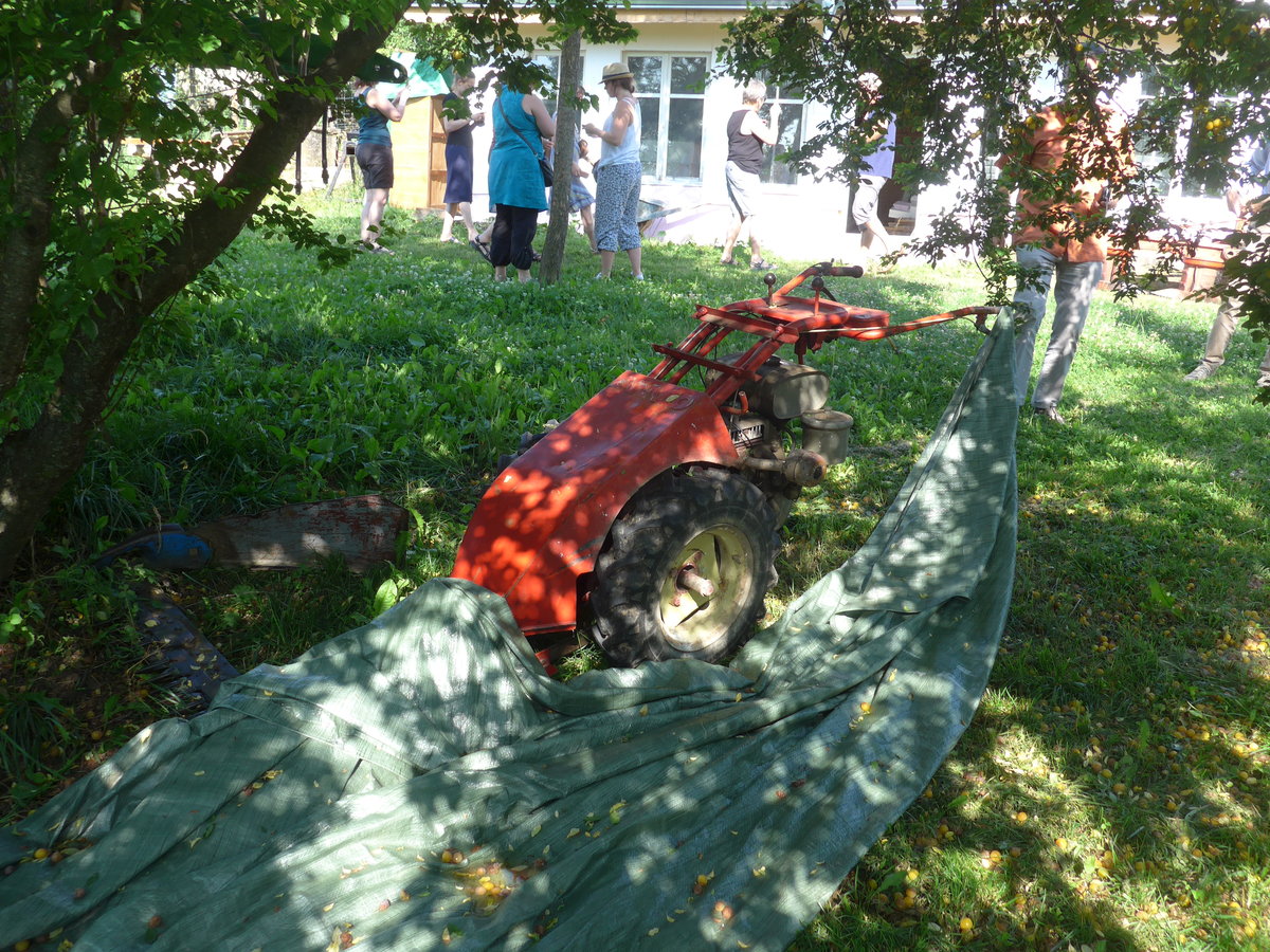 (207'260) - Motosacoche am 4. Juli 2019 in Kavlak