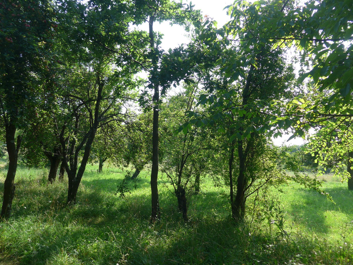 (207'270) - Bei Ferienheim am 4. Juli 2019 in Kavlak