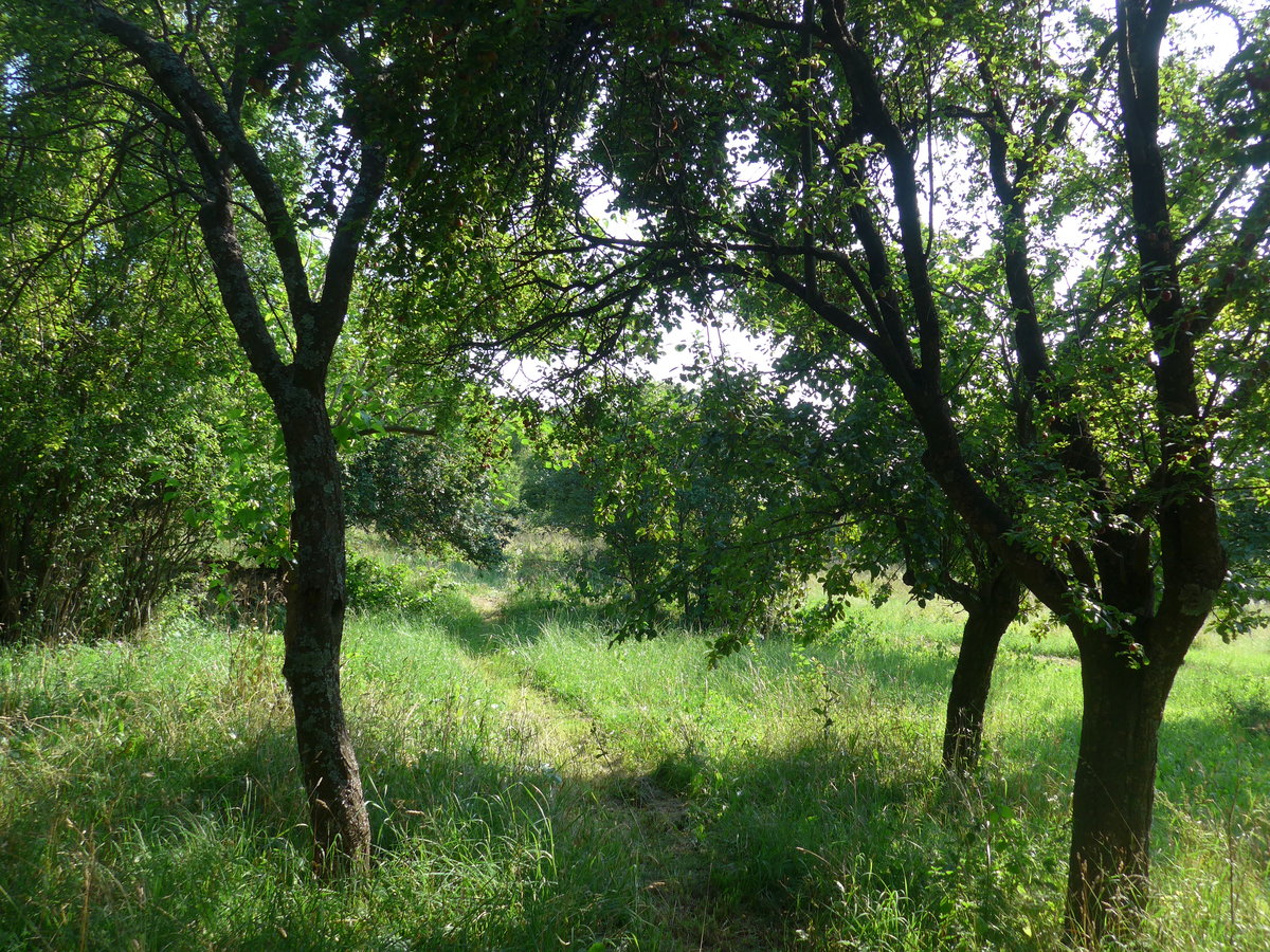 (207'271) - Beim Ferienheim am 4. Juli 2019 in Kavlak