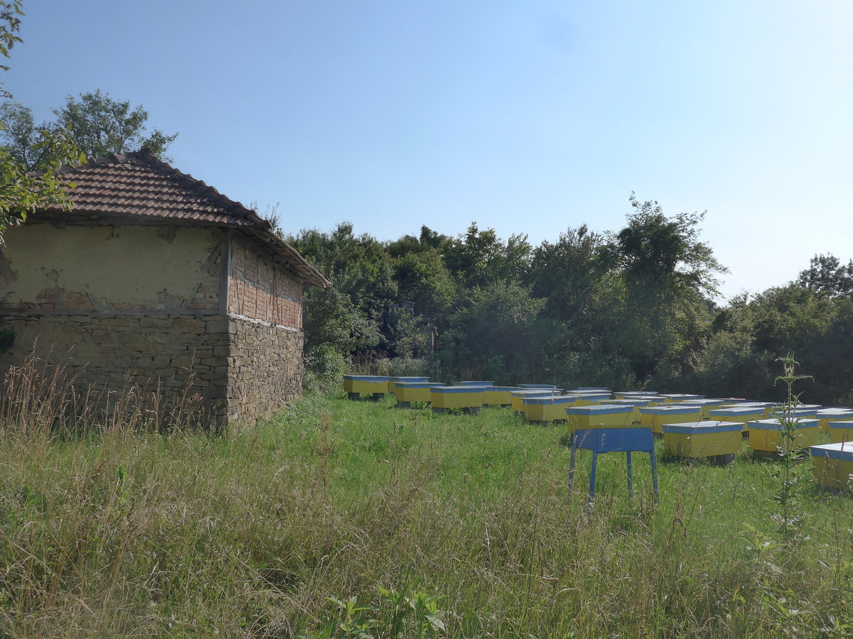 (207'284) - Ferienheim und Bienenh�user am 4. Juli 2019 in Kavlak