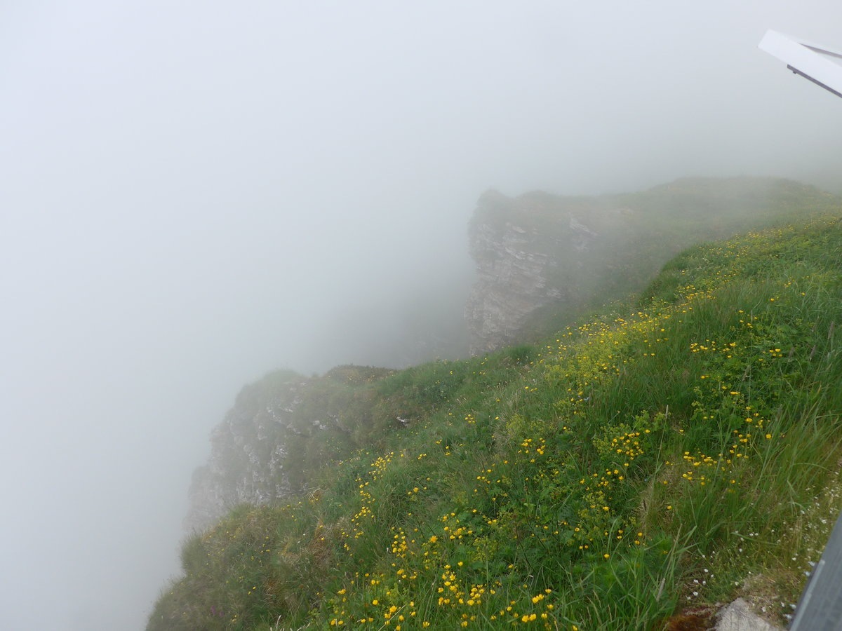 (207'727) - Nebelaussicht am 9. Juli 2019 vom M�nnlichen aus