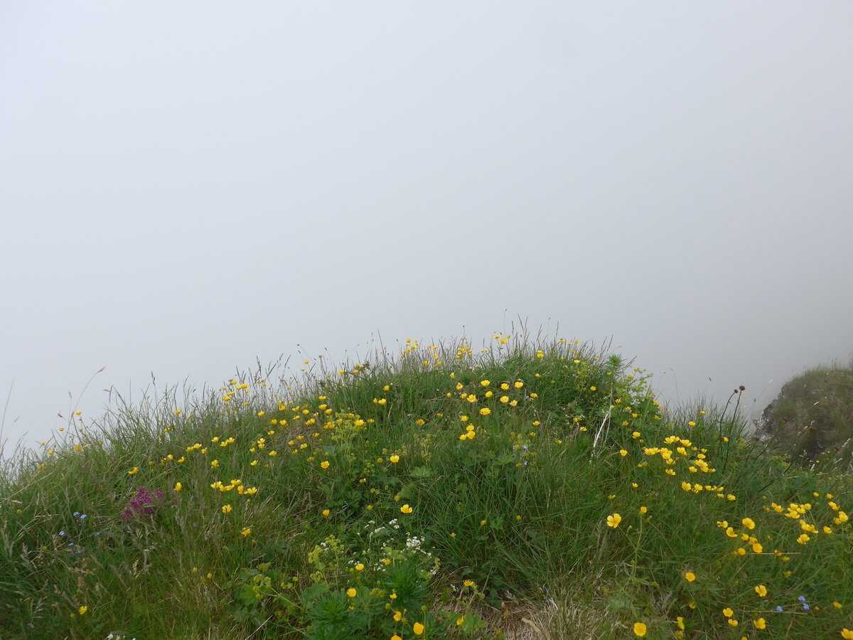 (207'728) - Nebelaussicht am 9. Juli 2019 vom M�nnlichen aus