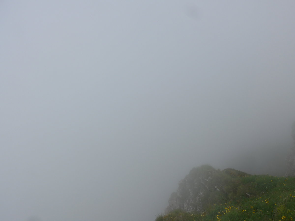 (207'729) - Nebelaussicht am 9. Juli 2019 vom M�nnlichen aus