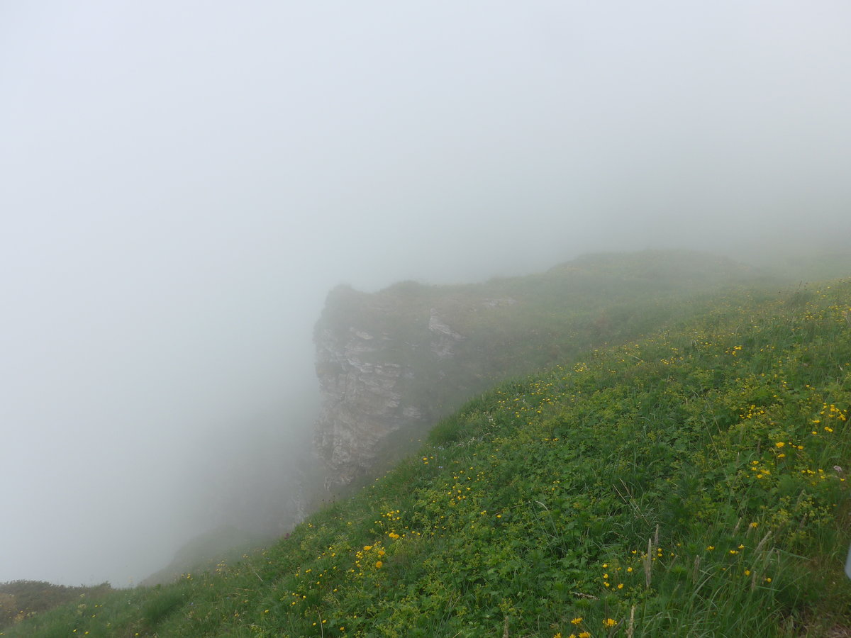 (207'730) - Nebelaussicht am 9. Juli 2019 vom M�nnlichen aus