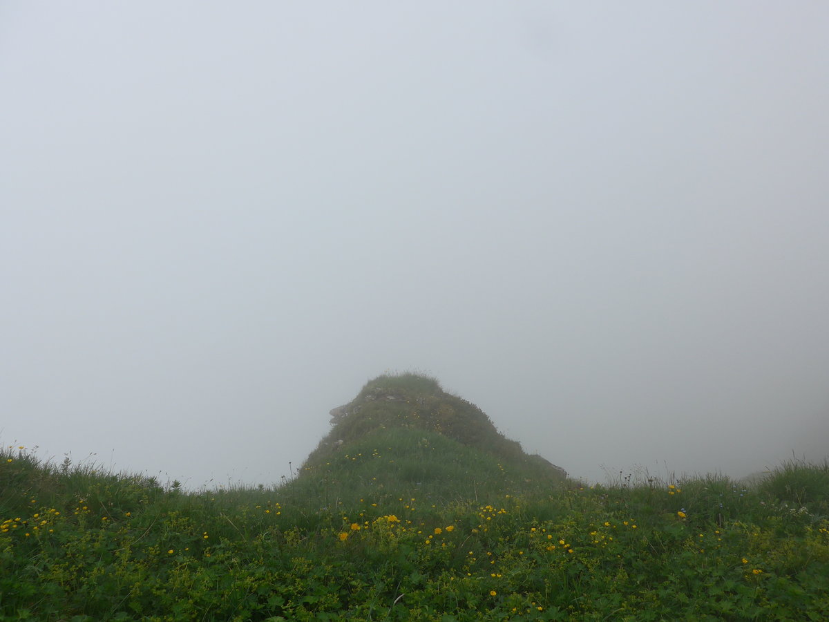 (207'731) - Nebelaussicht am 9. Juli 2019 vom M�nnlichen aus