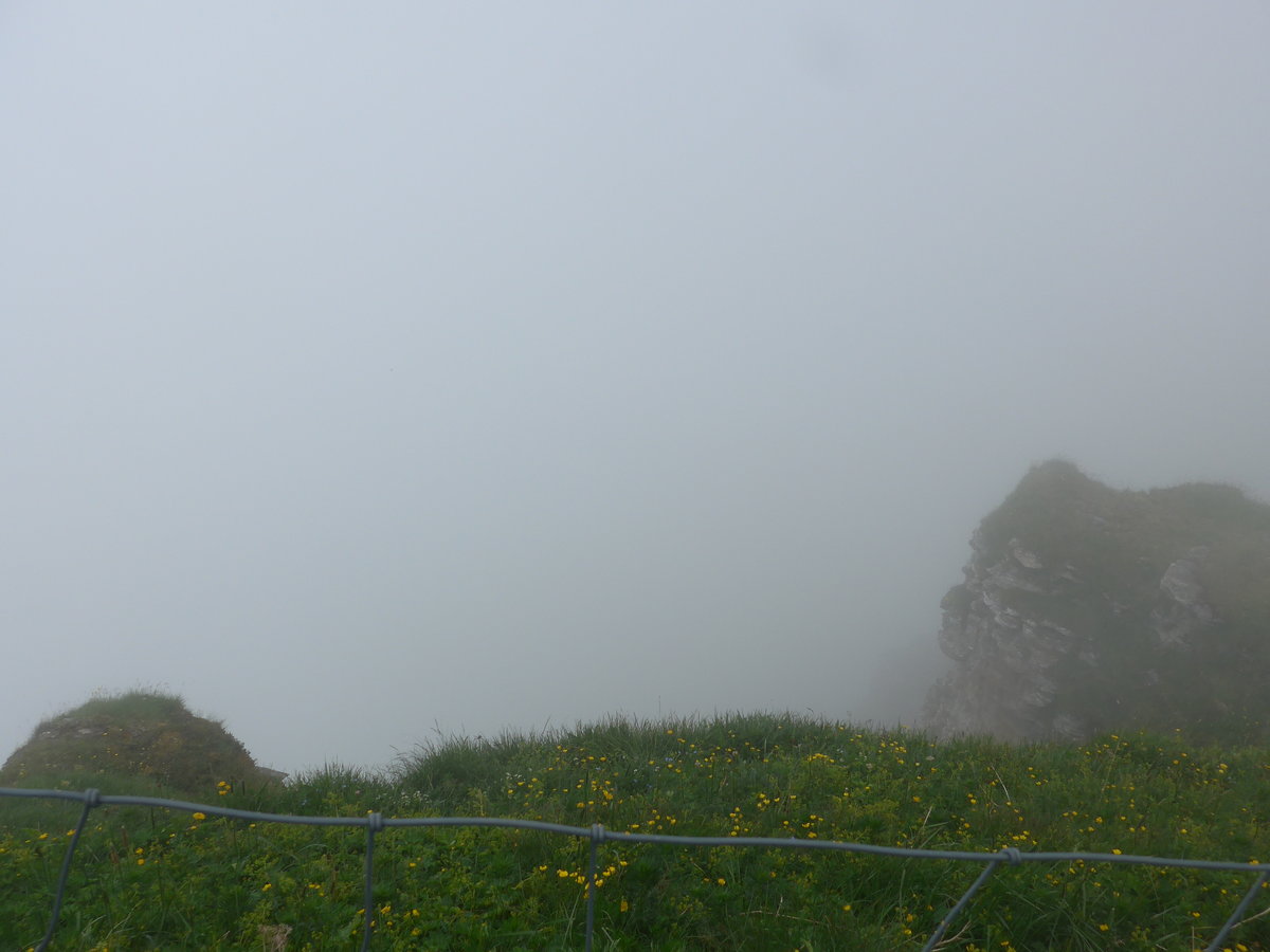 (207'732) - Nebelaussicht am 9. Juli 2019 vom M�nnlichen aus