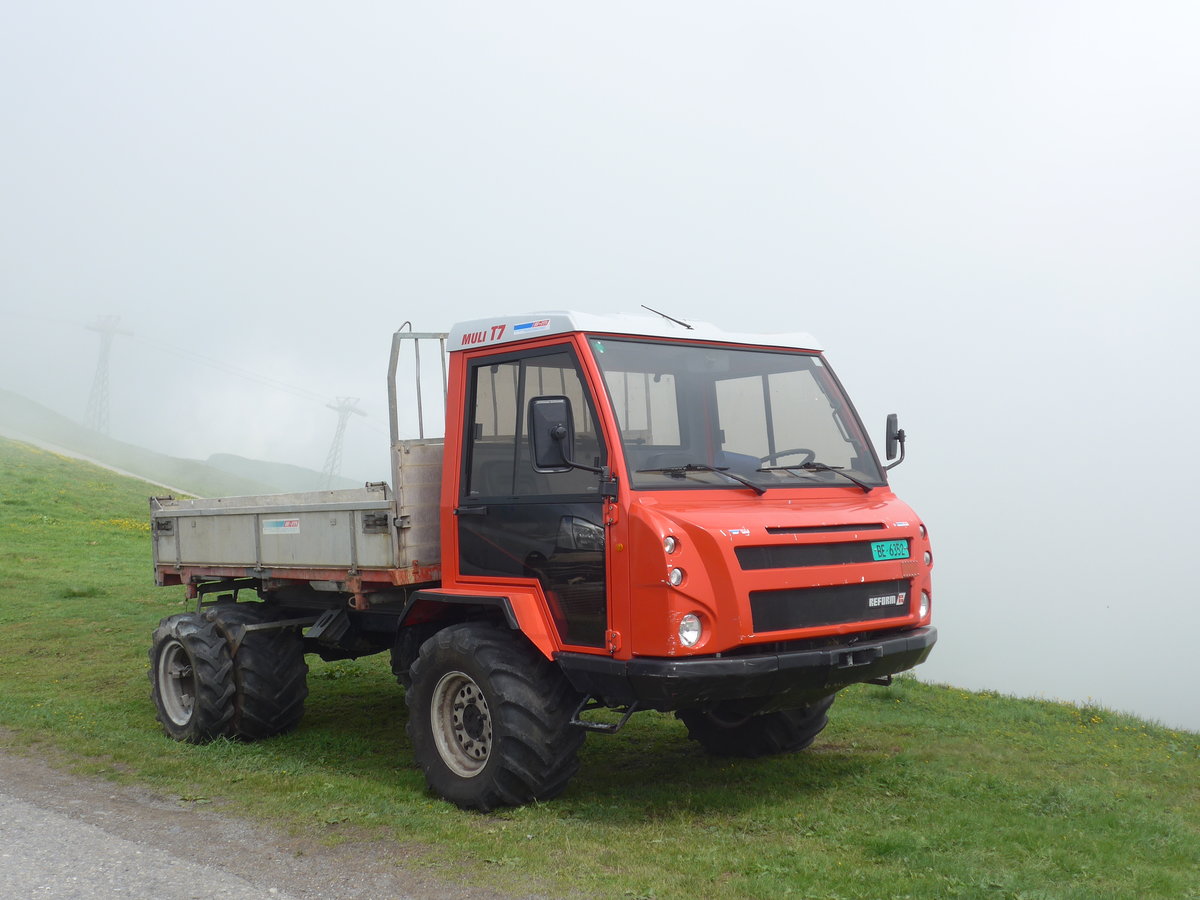 (207'735) - Reform-Muli - BE 6352 - am 9. Juli 2019 auf dem M�nnlichen