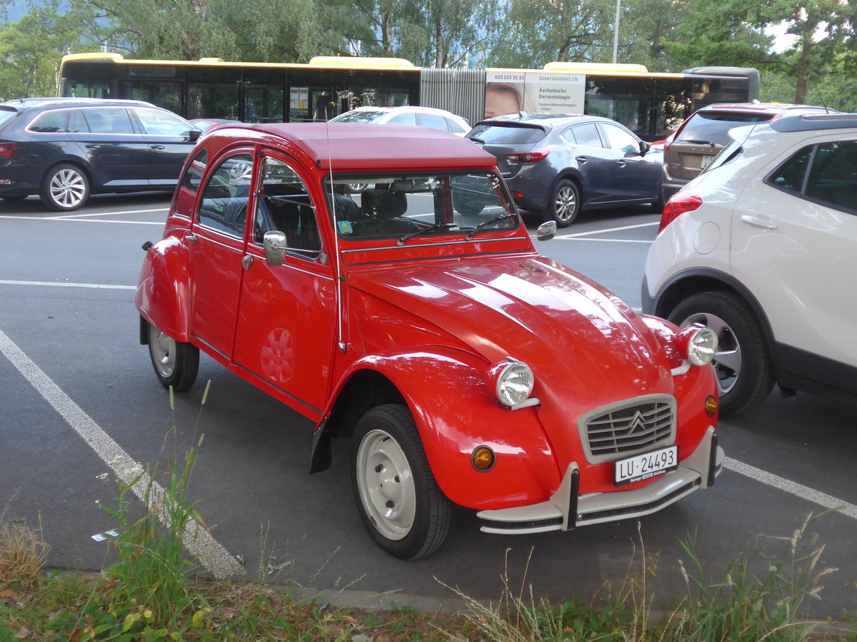 (207'908) - Citro�n - LU 24'493 - am 13. Juli 2019 in Thun, Lachen