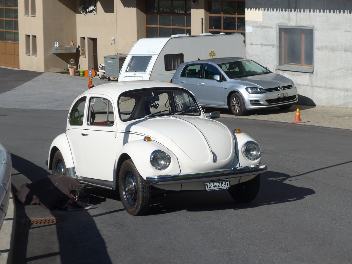 (208'293) - VW-K�fer - VS 442'897 - am 3. August 2019 in Simplon Dorf