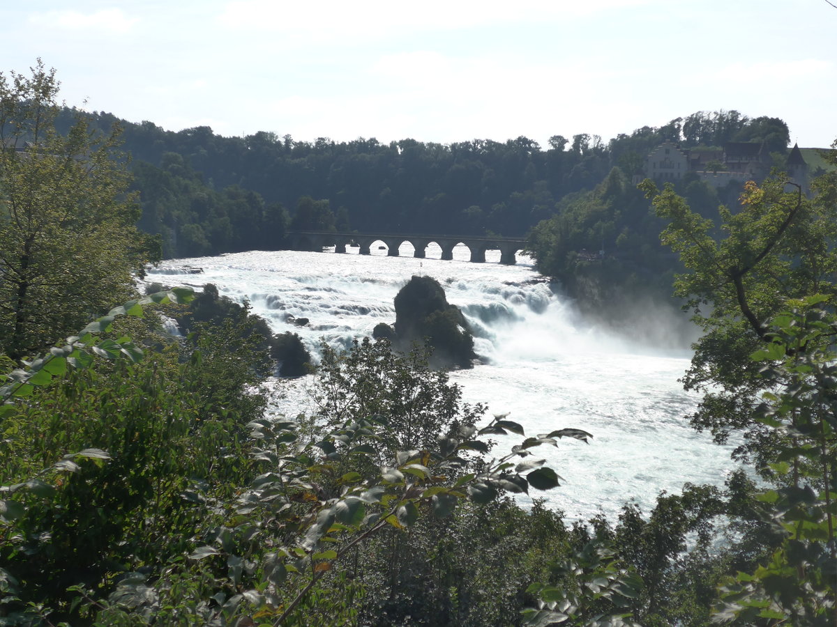 (209'575) - Der Rheinfall am 14. September 2019 bei Neuhausen