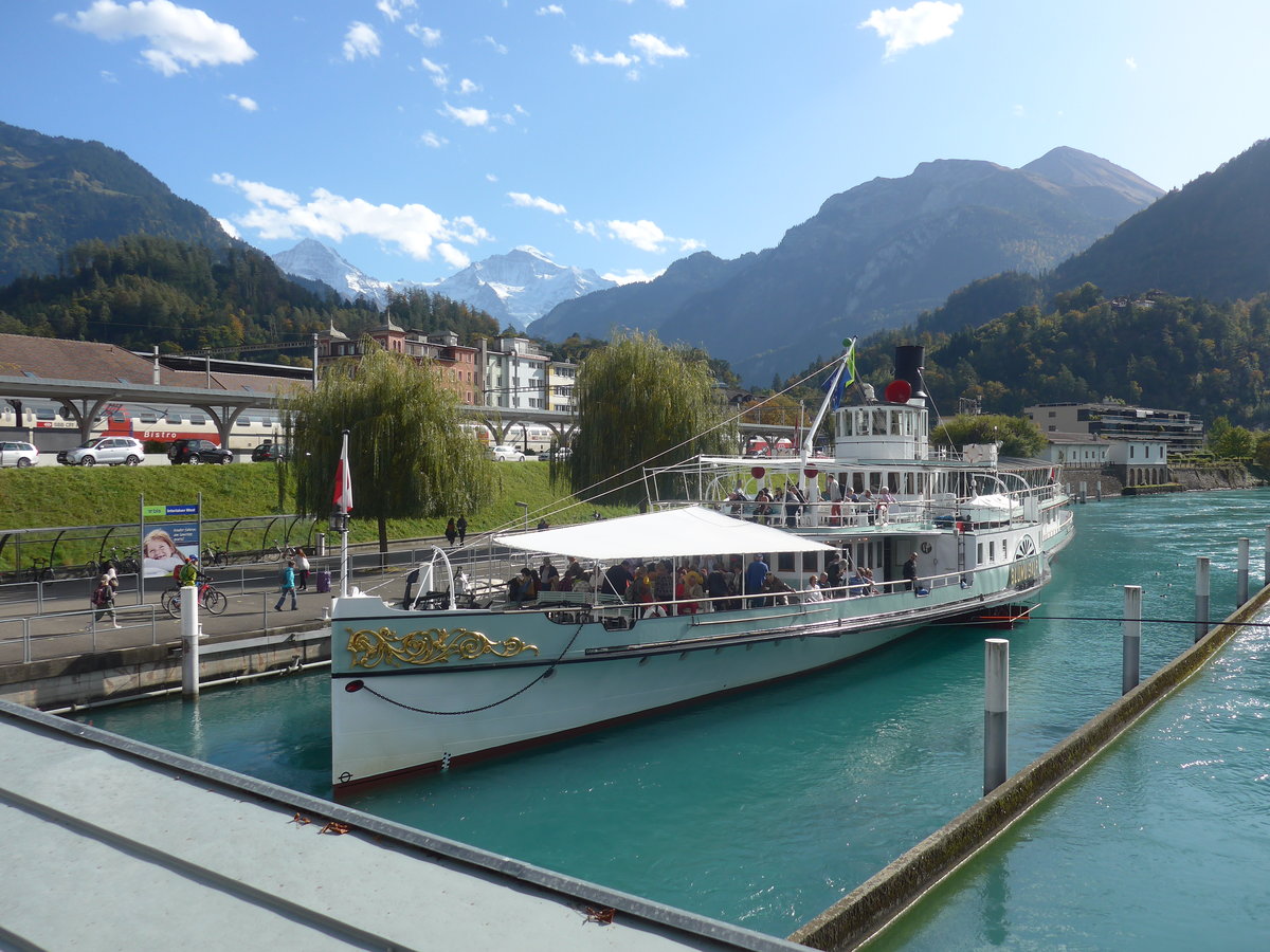 (210'299) - Dampfschiff Bl�mlisalp am 13. Oktober 2019 an der Schiffl�ndte Interlaken West