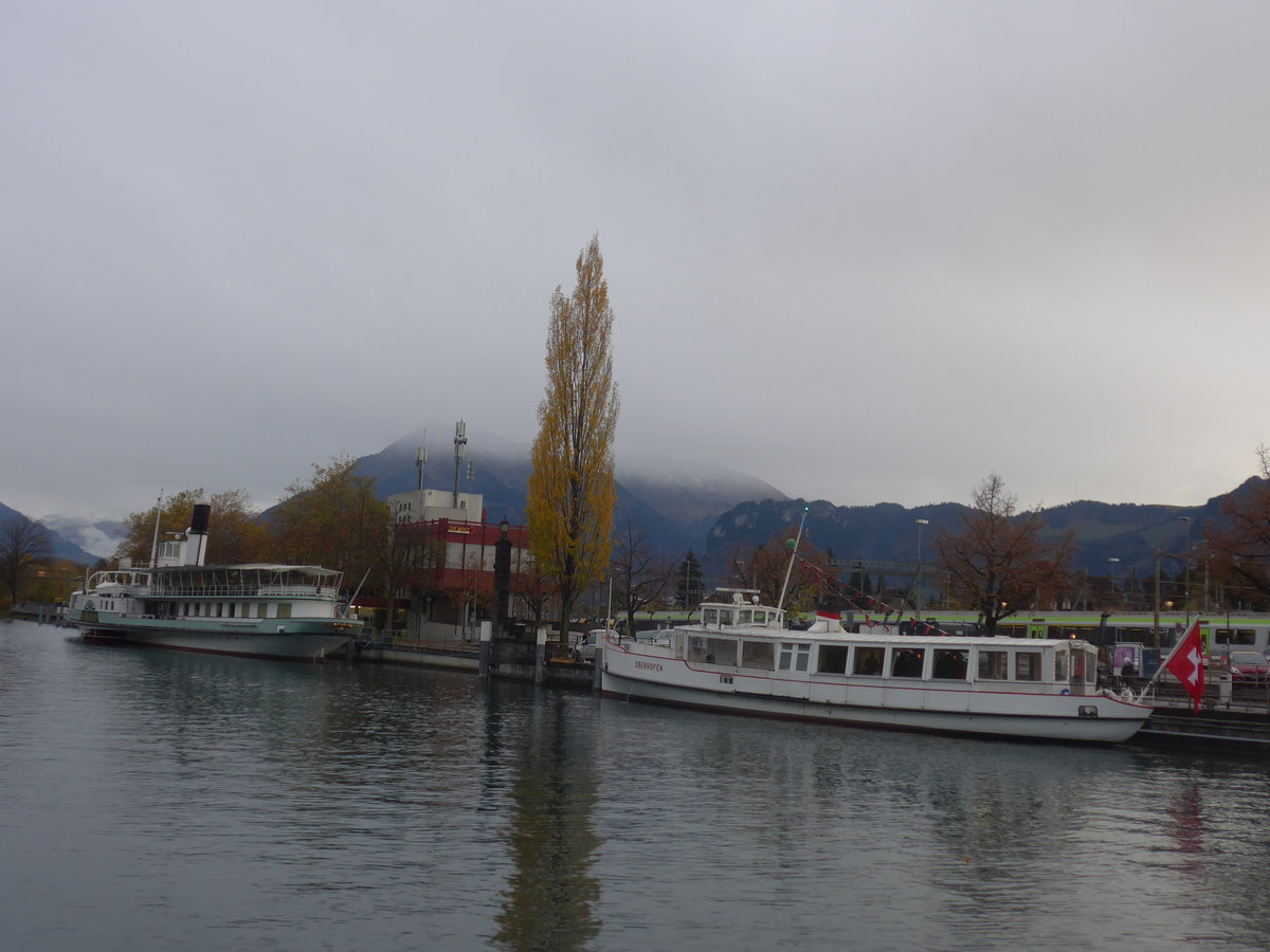 (210'750) - Dampfschiff Bl�mlisalp und Motorschiff Oberhofen am 3. November 2019 an der Schiffl�ndte Thun
