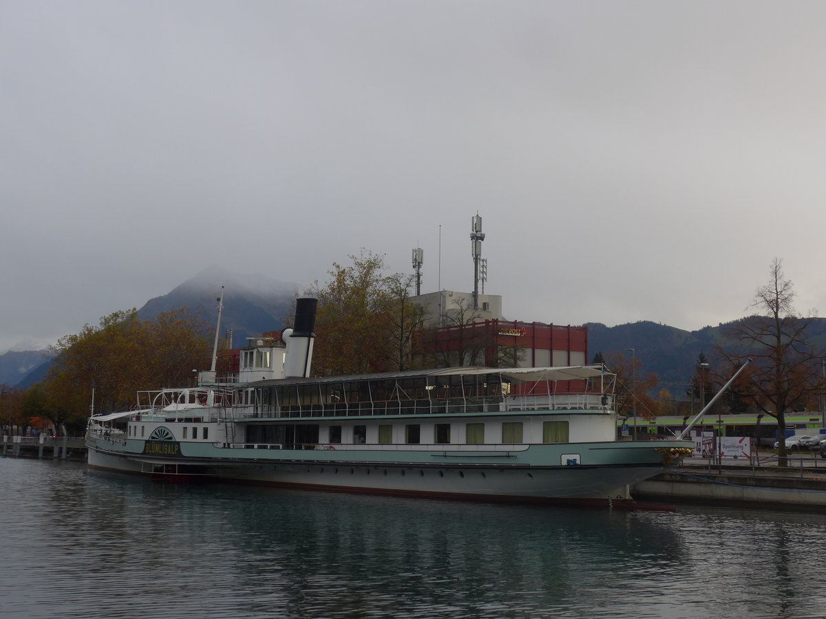 (210'752) - Dampfschiff Bl�mlisalp am 3. November 2019 an der Schiffl�ndte Thun