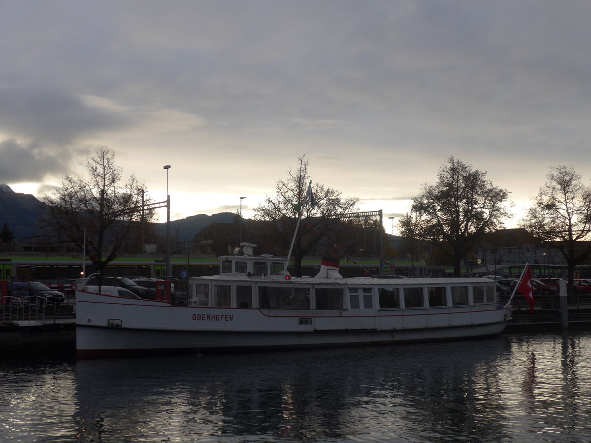 (210'753) - Motorschiff Oberhofen am 3. November 2019 an der Schiffl�ndte Thun