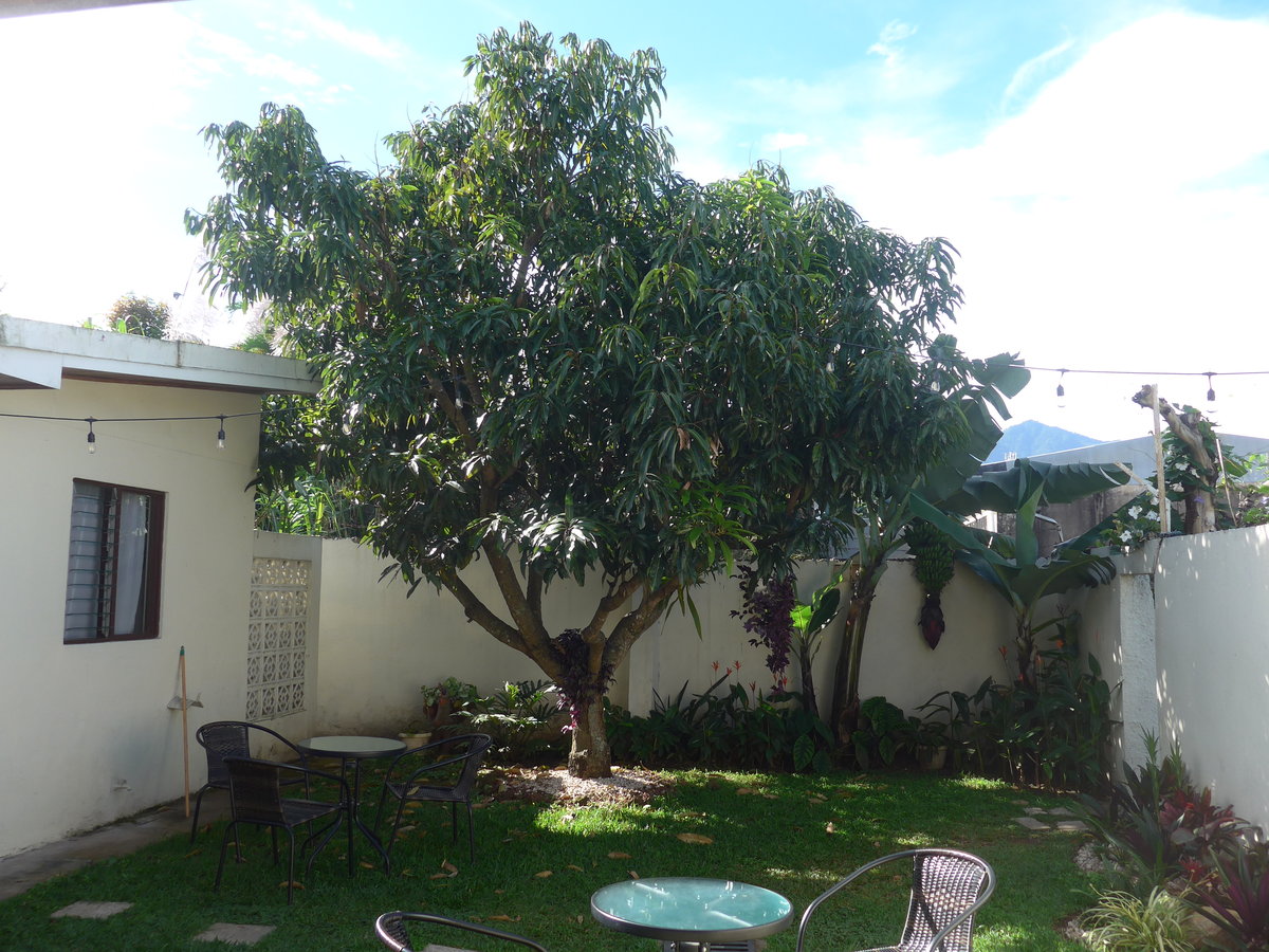 (211'075) - Innenhof im Hotel Mango Boulevard am 13. November 2019 in San Jos�