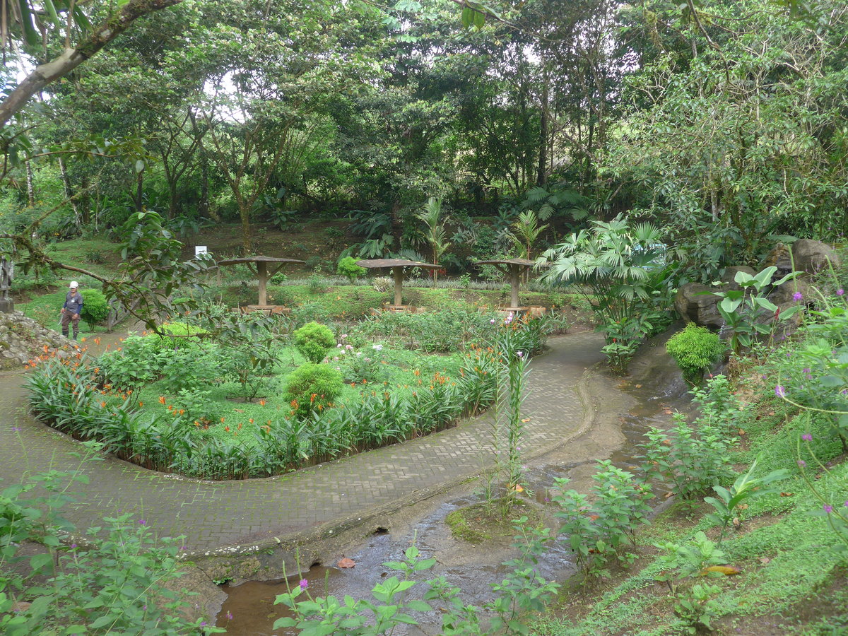 (211'165) - Parkanlange im Mistico am 14. November 2019 bei La Fortuna