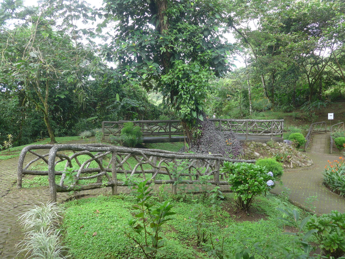 (211'166) - Parkanlage mit Br�cke im Mistico am 14. November 2019 bei La Fortuna