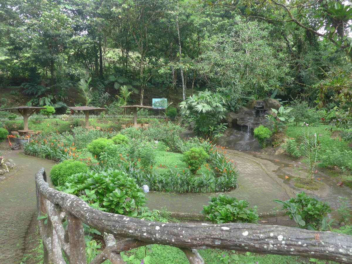 (211'167) - Parkanlage im Mistico am 14. November 2019 bei La Fortuna