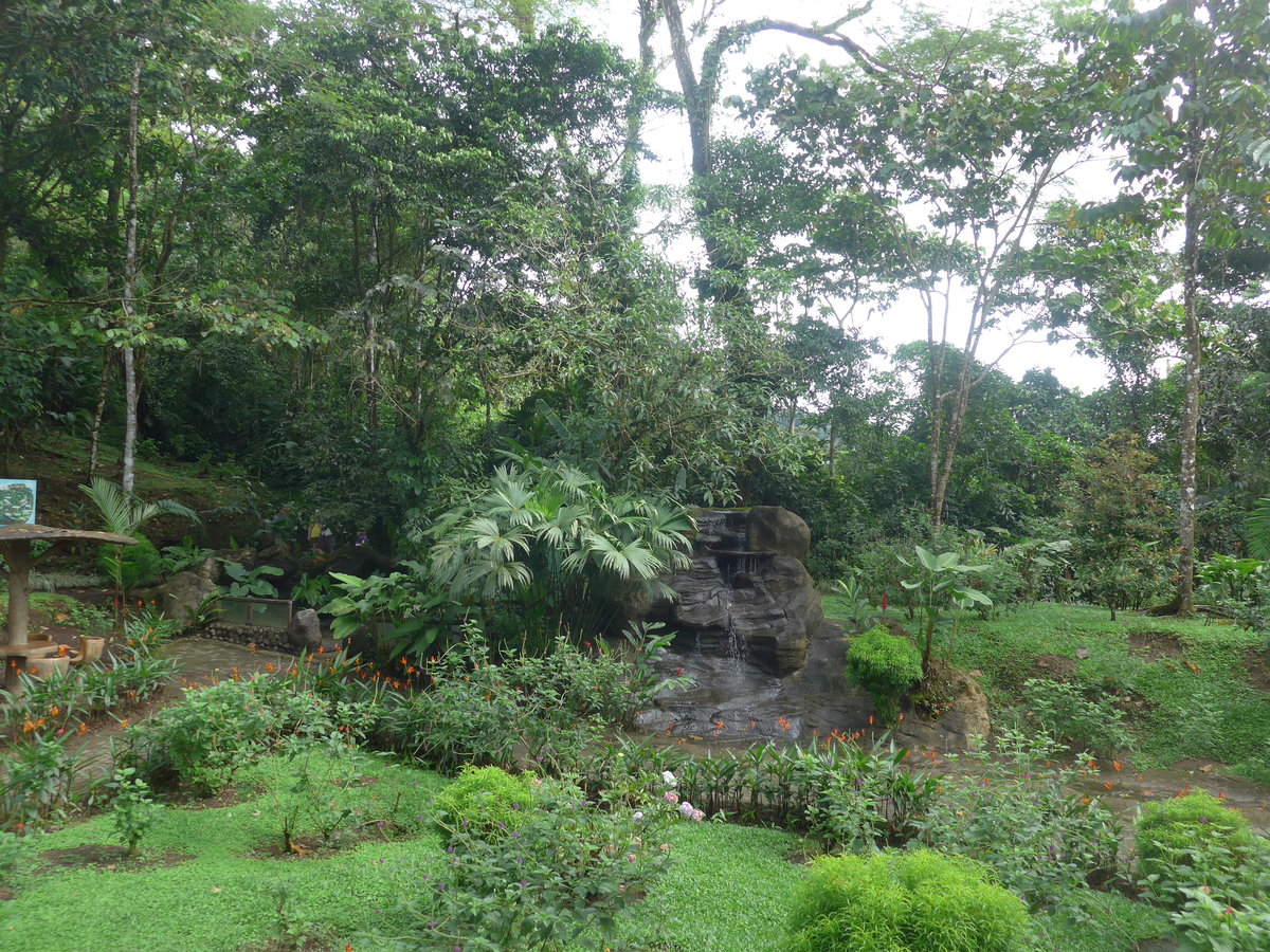 (211'168) - Parkanlage im Mistico am 14. November 2019 bei La Fortuna