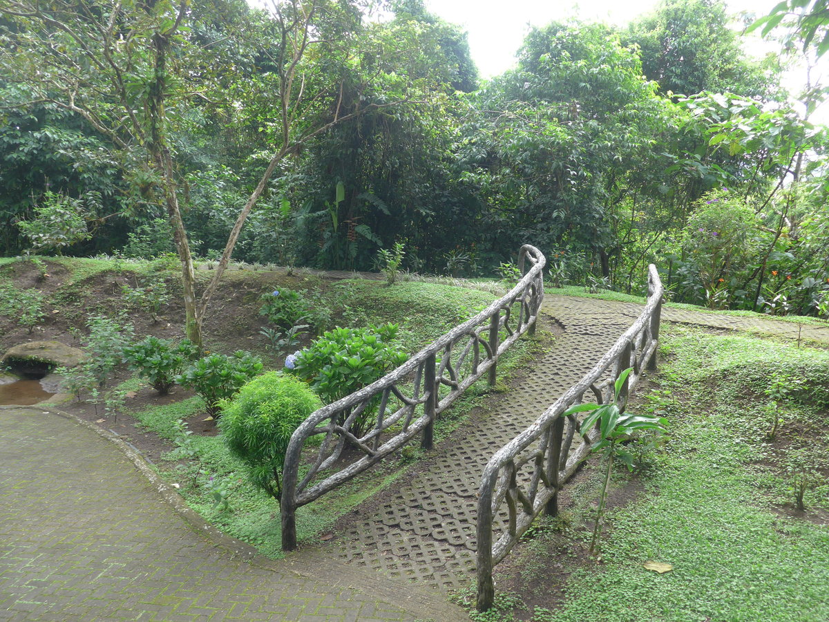 (211'169) - Parkanlange im Mistico am 14. November 2019 bei La Fortuna