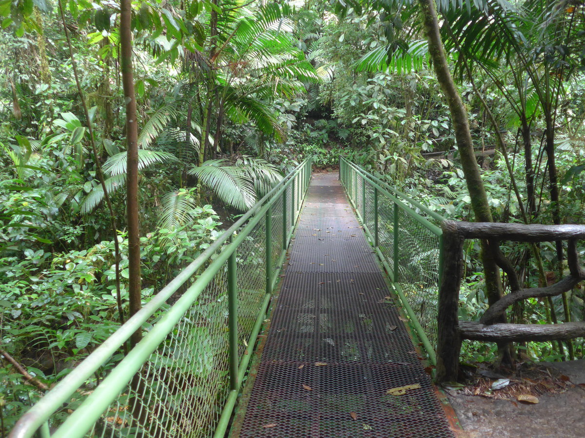 (211'173) - Puente El Sa�no im Mistico am 14. November 2019 bei La Fortuna