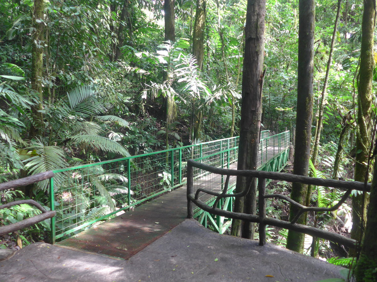 (211'175) - Puente El Sa�no im Mistico am 14. November 2019 bei La Fortuna