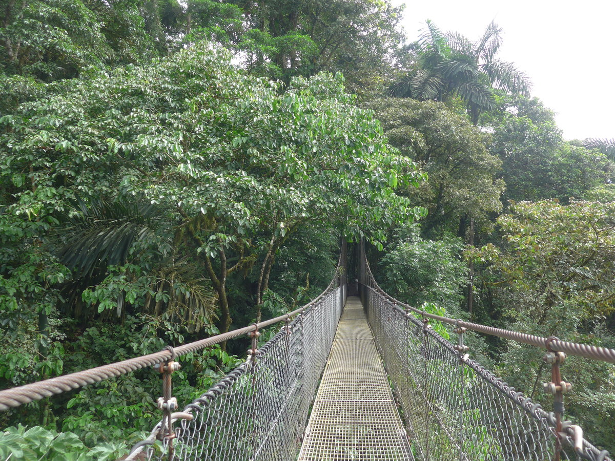 (211'178) - Puente Vista Arenal im Mistico am 14. November 2019 bei La Fortuna