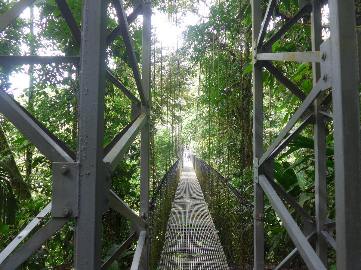 (211'180) - Puente Vista Arenal im Mistico am 14. November 2019 bei La Fortuna