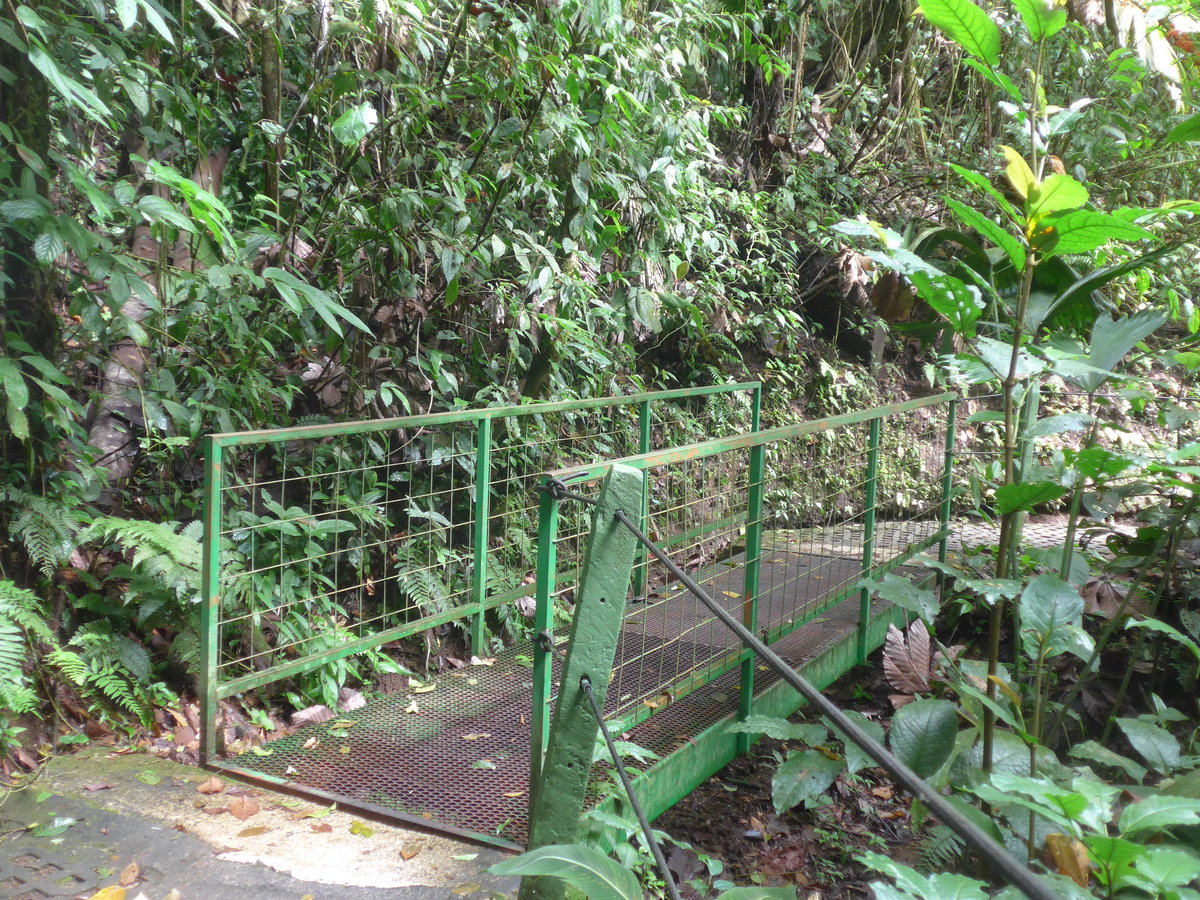 (211'181) - Puente Escalera de Mono im Mistico am 14. November 2019 bei La Fortuna