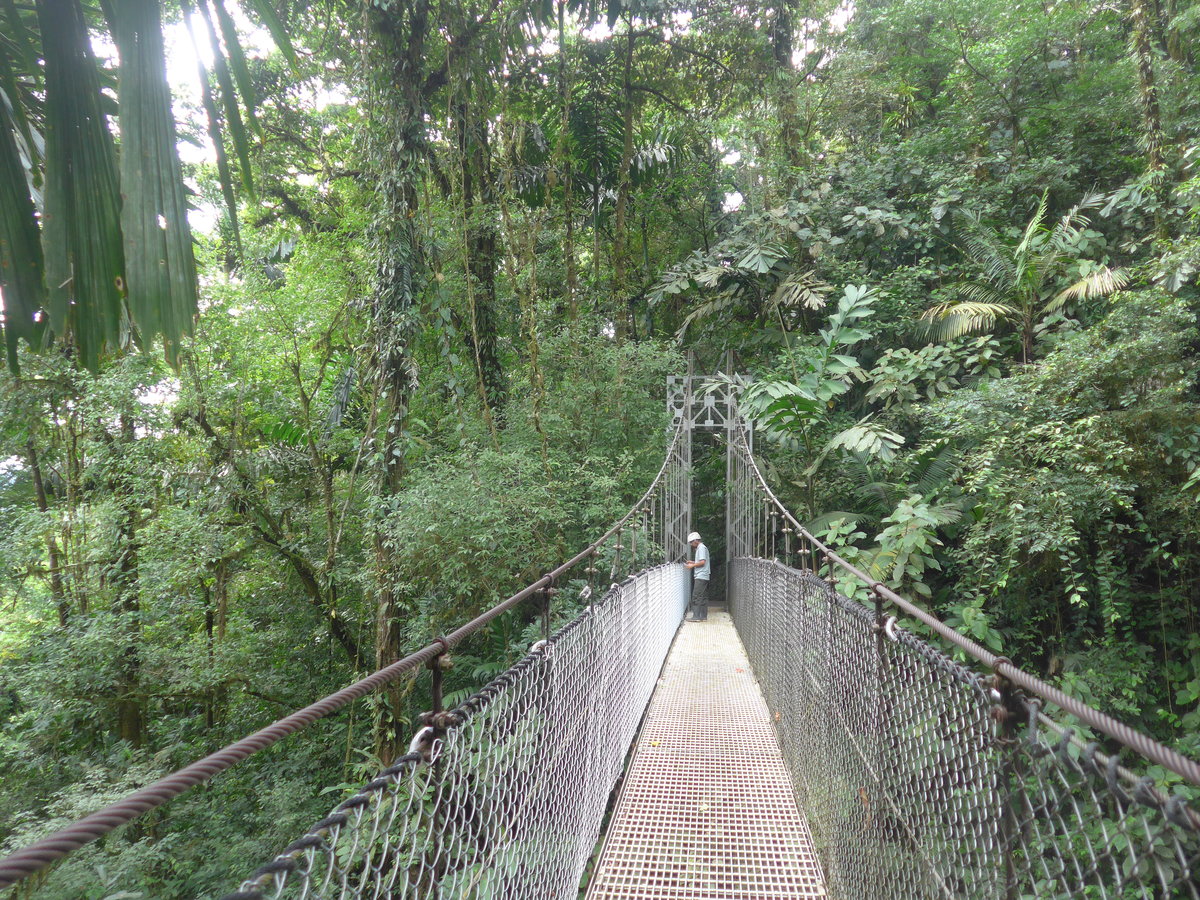 (211'182) - Puente El Pil�n im Mistico am 14. November bei La Fortuna