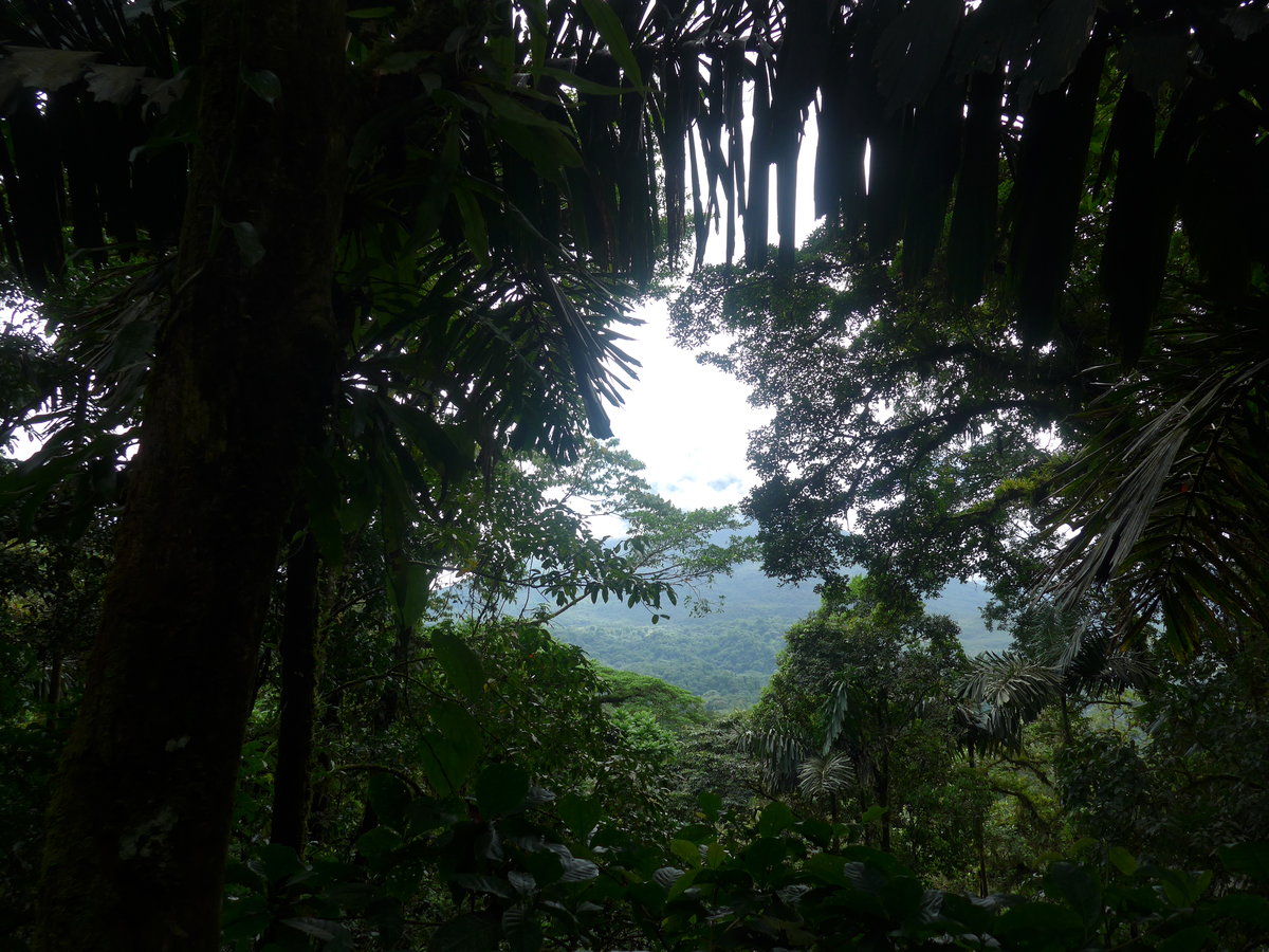 (211'183) - Blick auf den Vulkan Arenal am 14. November 2019 im Mistico bei La Fortuna