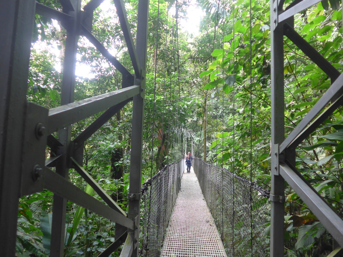 (211'184) - Puente El Pil�n im Mistico am 14. November 2019 bei La Fortuna