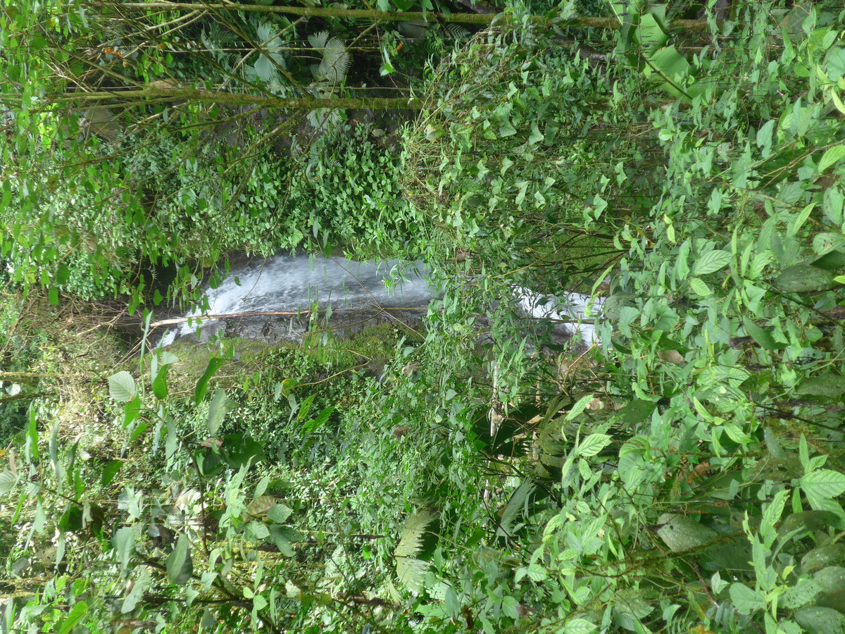 (211'188) - Catarata Morpho Azul im Mistico am 14. November 2019 bei La Fortuna