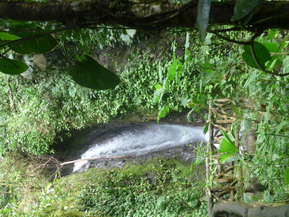 (211'189) - Catarata Moroho Azul im Mistico am 14. November 2019 bei La Fortuna
