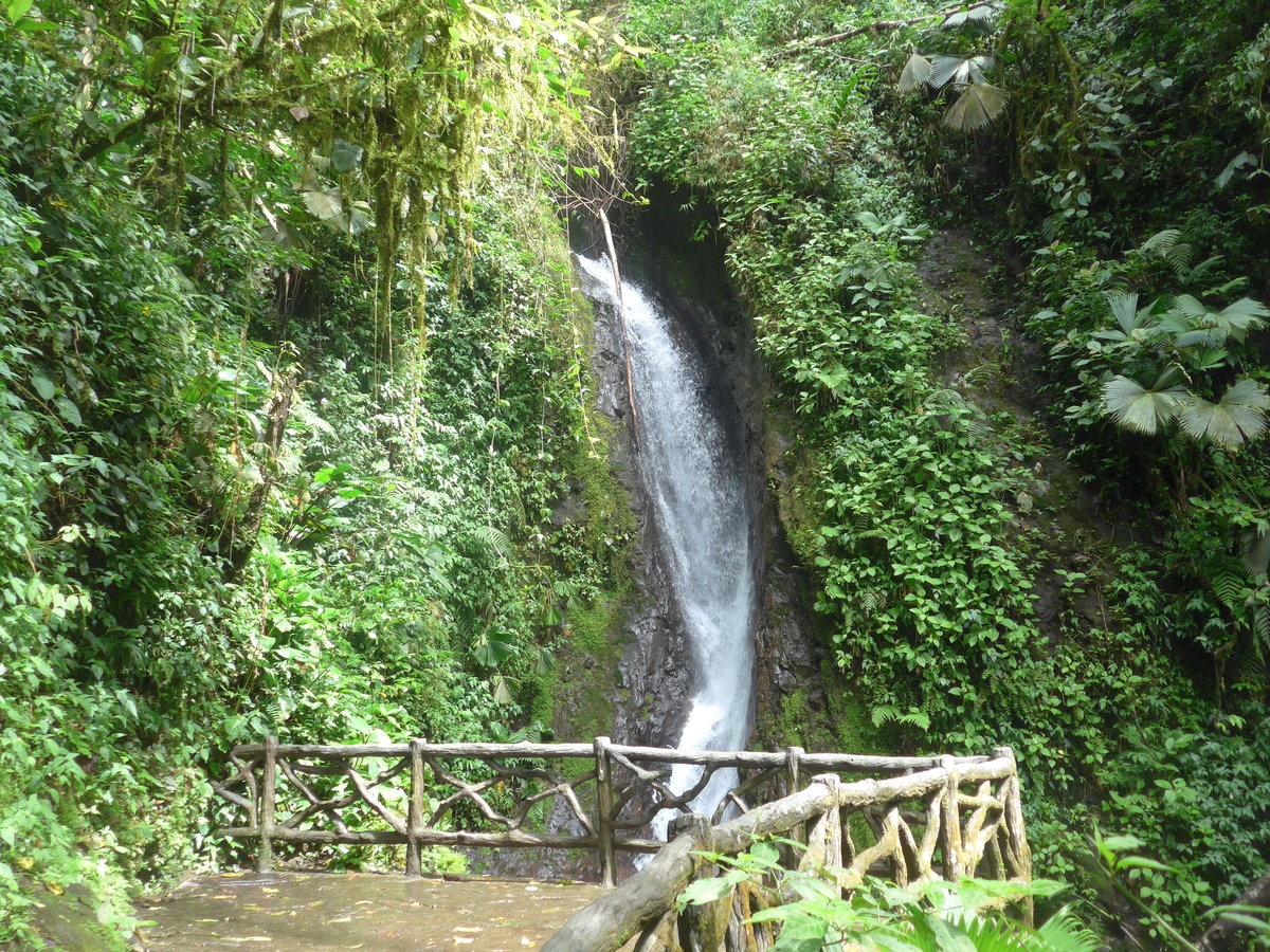 (211'190) - Catarata Morpho Azul im Mistico am 14. November 2019 bei La Fortuna