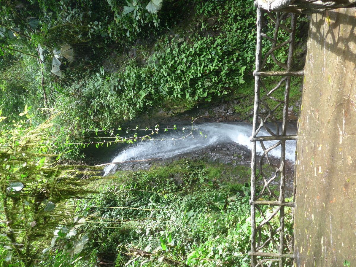 (211'191) - Catarata Morpho Azul im Mistico am 14. November 2019 bei La Fortuna