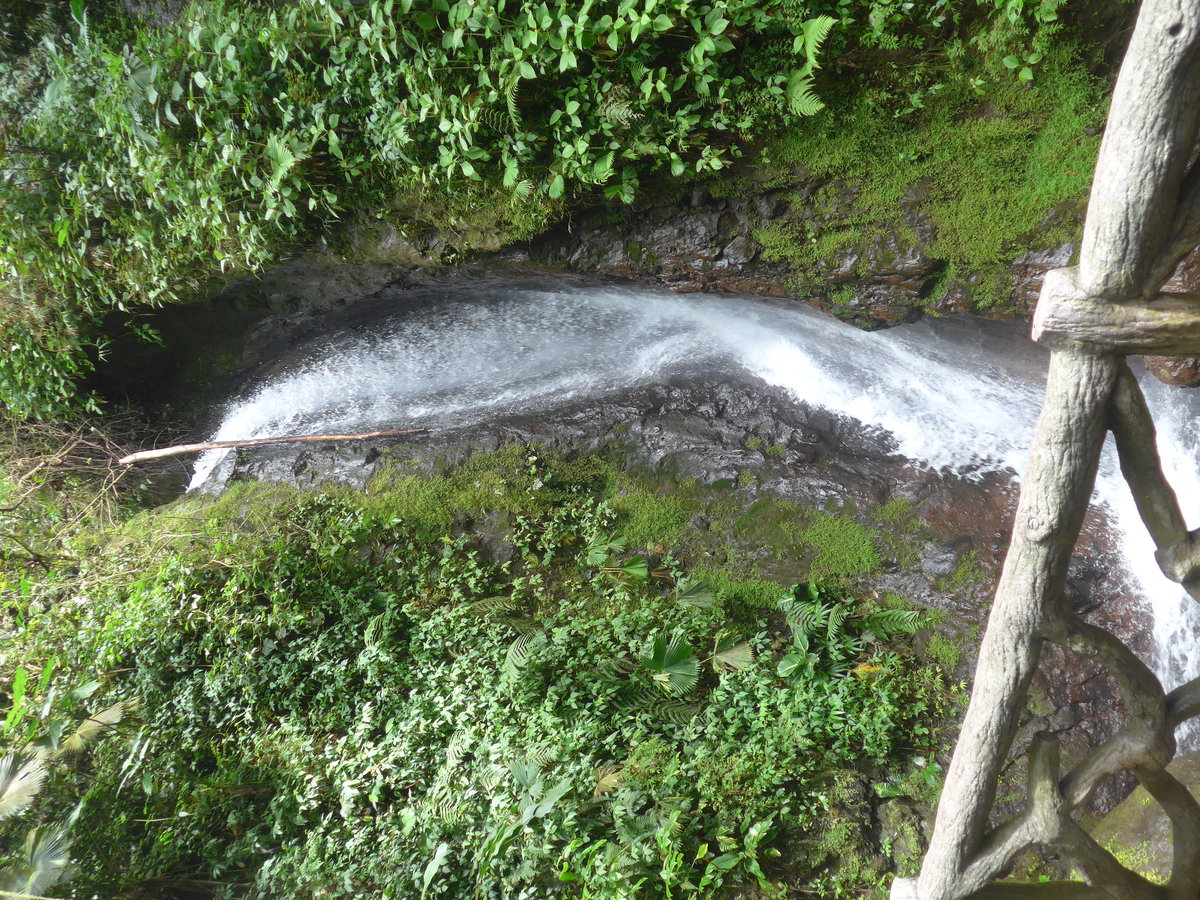 (211'192) - Catarata Morpho Azul im Mistico am 14. November 2019 bei La Fortuna