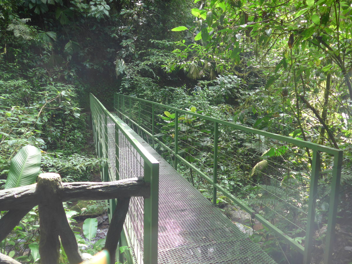 (211'197) - Puente Mistico im Mistico am 14. November 2019 bei La Fortuna