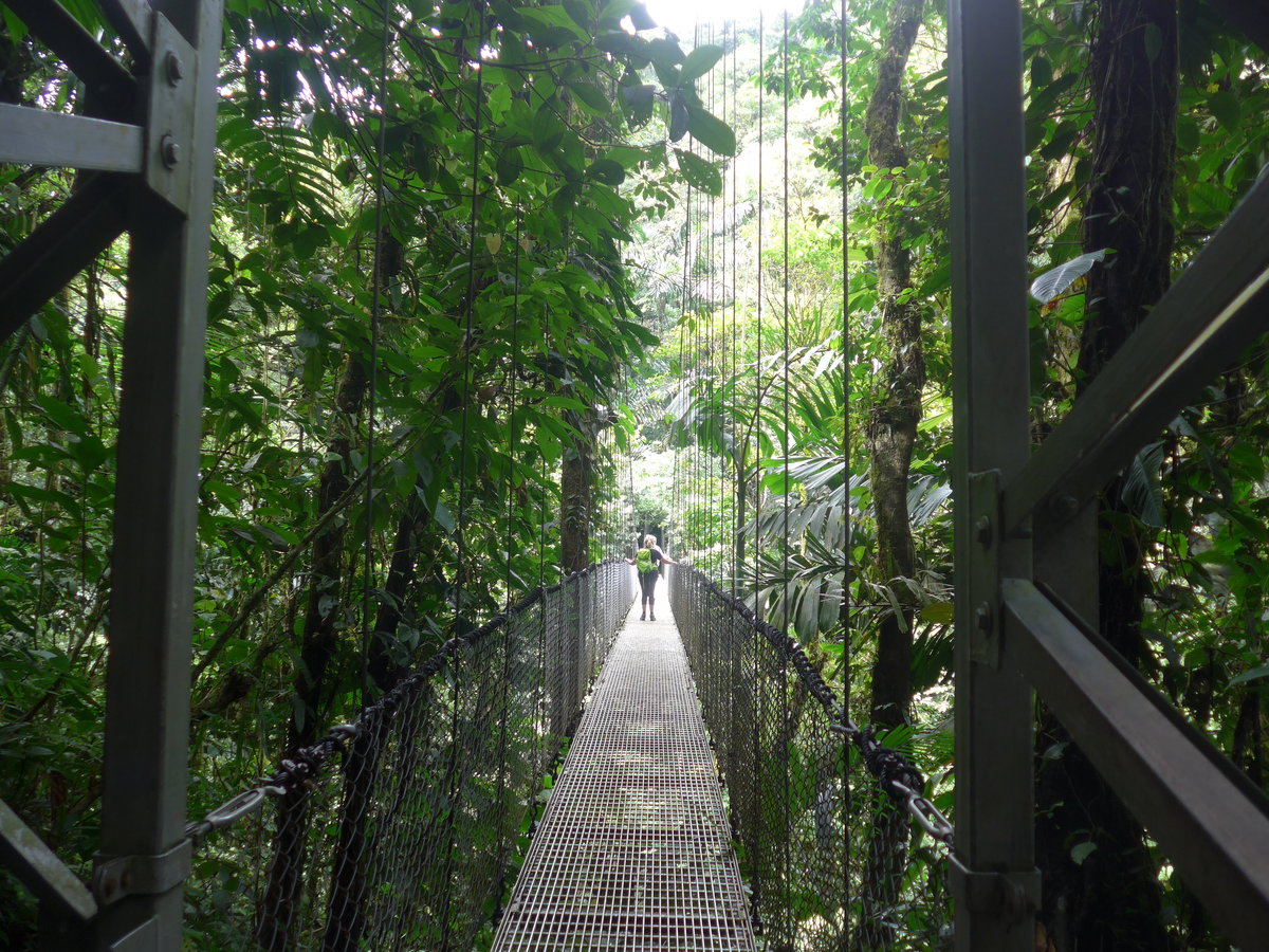 (211'199) - Puente Hormiguero im Mistico am 14. November 2019 bei La Fortuna