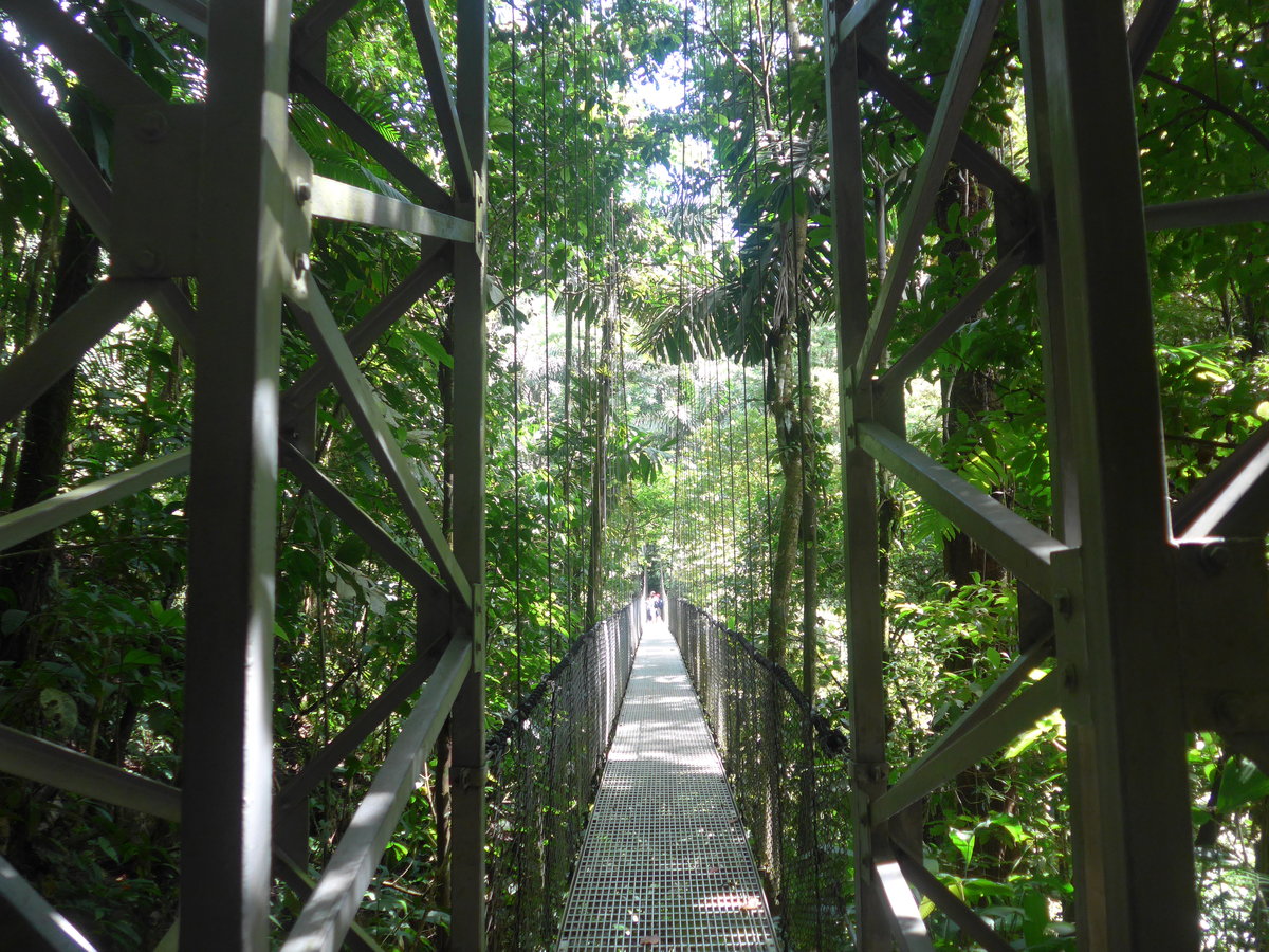 (211'202) - Puente Hormiguero im Mistico am 14. November 2019 bei La Fortuna