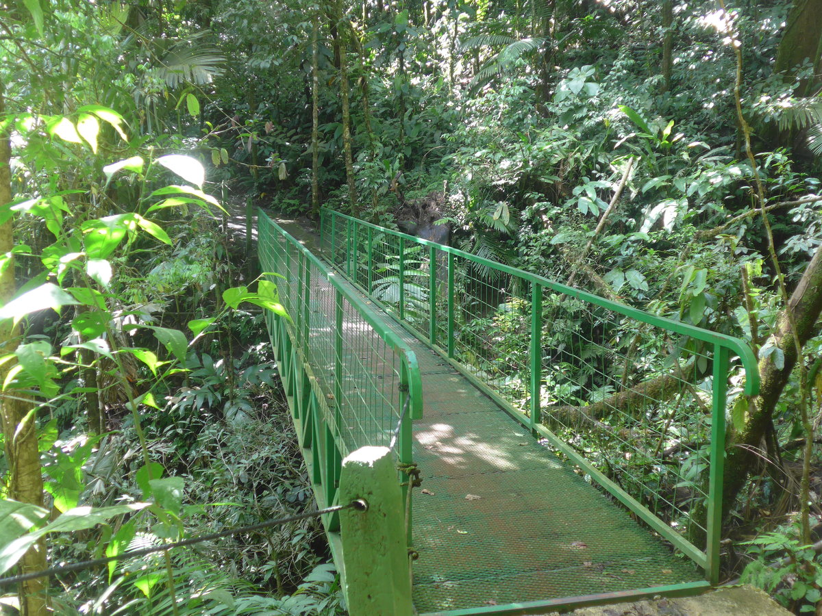 (211'203) - Puente El Palmito im Mistico am 14. November 2019 bei La Fortuna