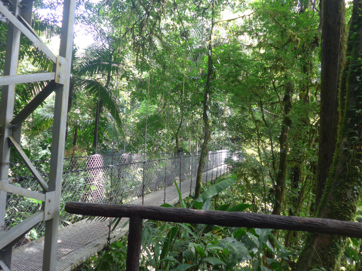 (211'208) - Puente La Tercipelo im Mistico am 14. November 2019 bei La Fortuna