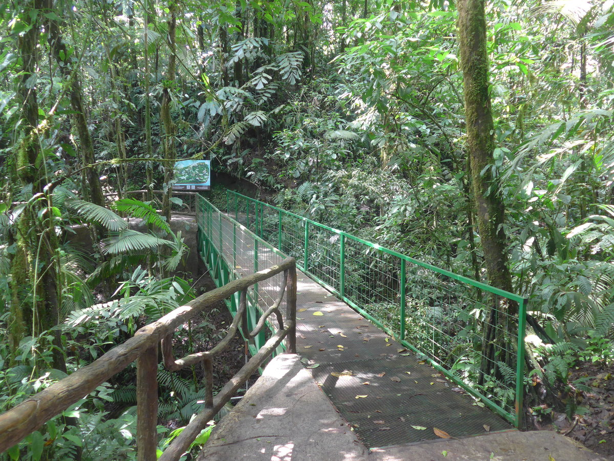 (211'209) - Puente El Olingo im Mistico am 14. November 2019 bei La Fortuna