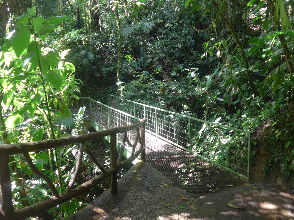 (211'216) - Puente La Pava im Mistico am 14. November 2019 bei La Fortuna