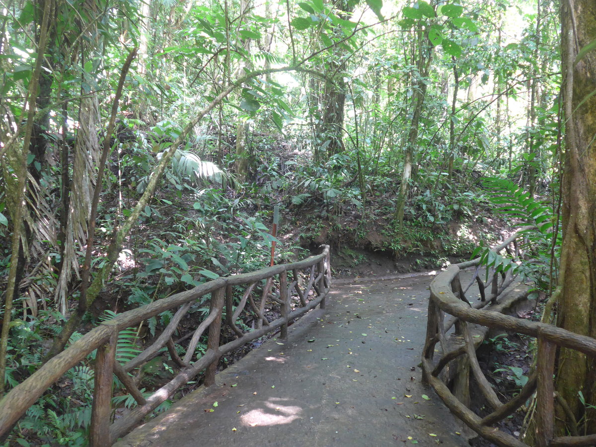 (211'218) - Puente La Tar�ntula im Mistico am 14. November 2019 bei La Fortuna