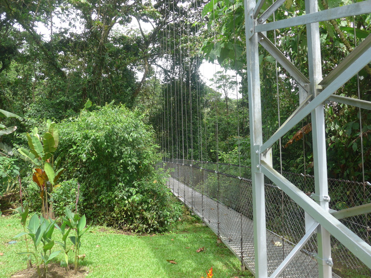 (211'220) - Puente El Tolomuco im Mistico am 14. November 2019 bei La Fortuna