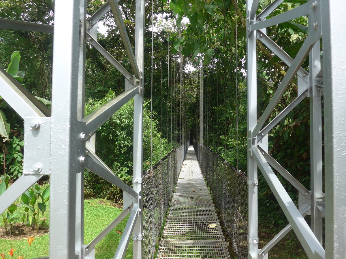 (211'221) - Puente El Tolomuco im Mistico am 14. November 2019 bei La Fortuna
