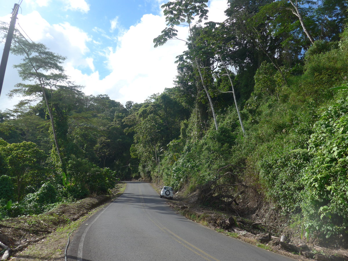 (211'297) - Fahrt durch den Regenwald am 14. November 2019 bei Arenal