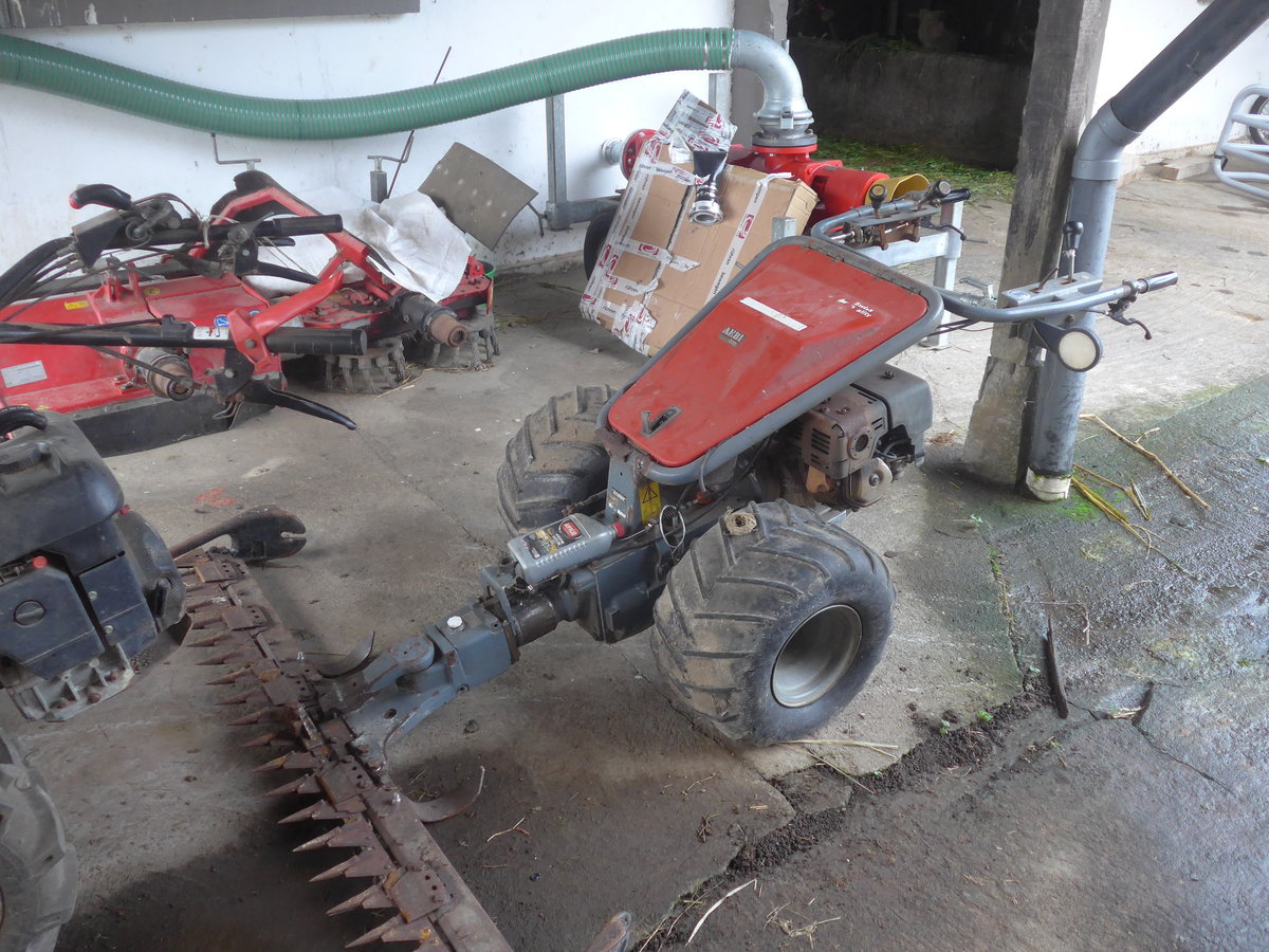 (211'378) - Aebi am 16. November 2019 in Nuevo Arenal, Los H�roes